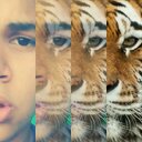 Daniel Sigala - @kevin14779 - Twitter