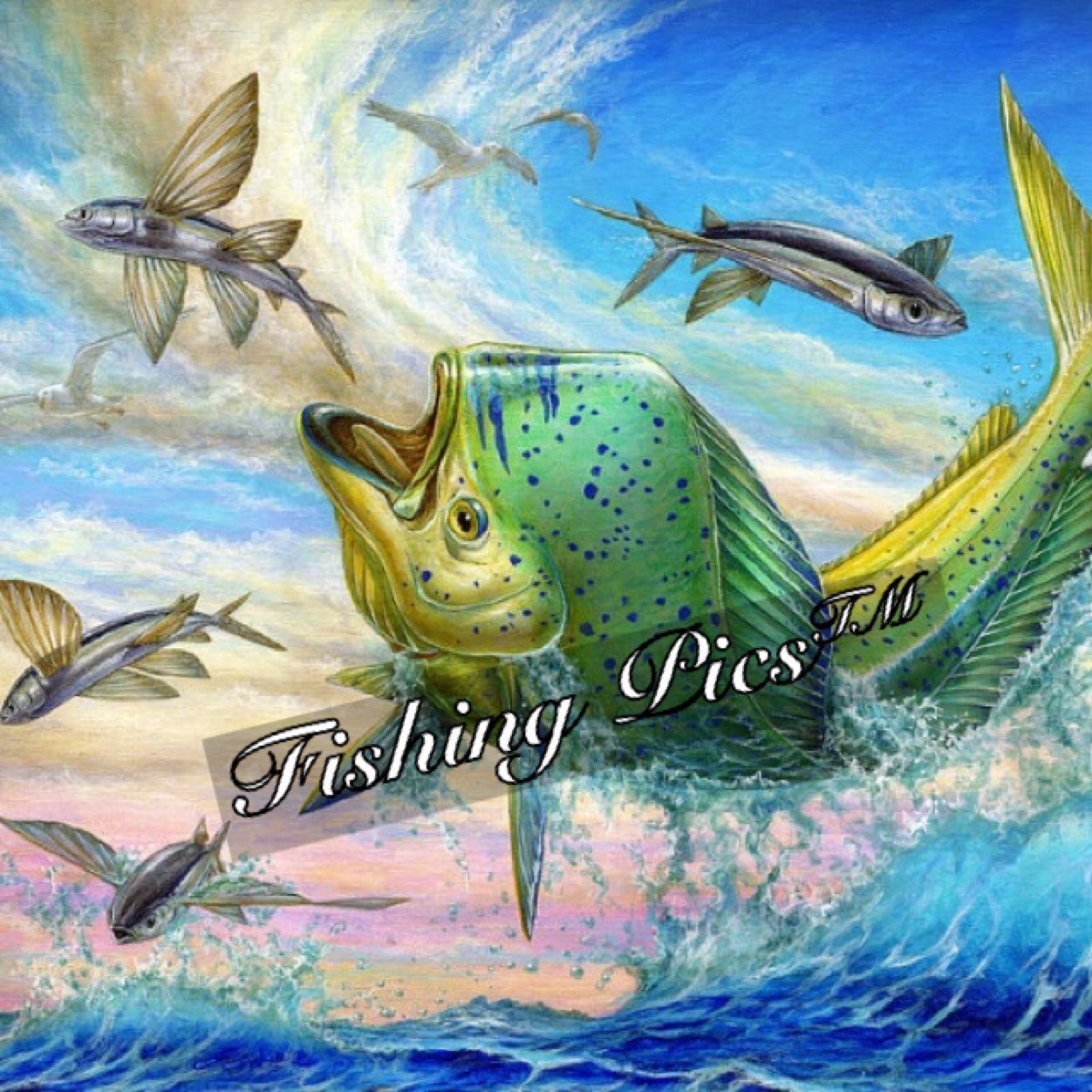 fishing_pics's profile picture. Lures, Reviews, Tips, and Techniques! Fresh And Saltwater!