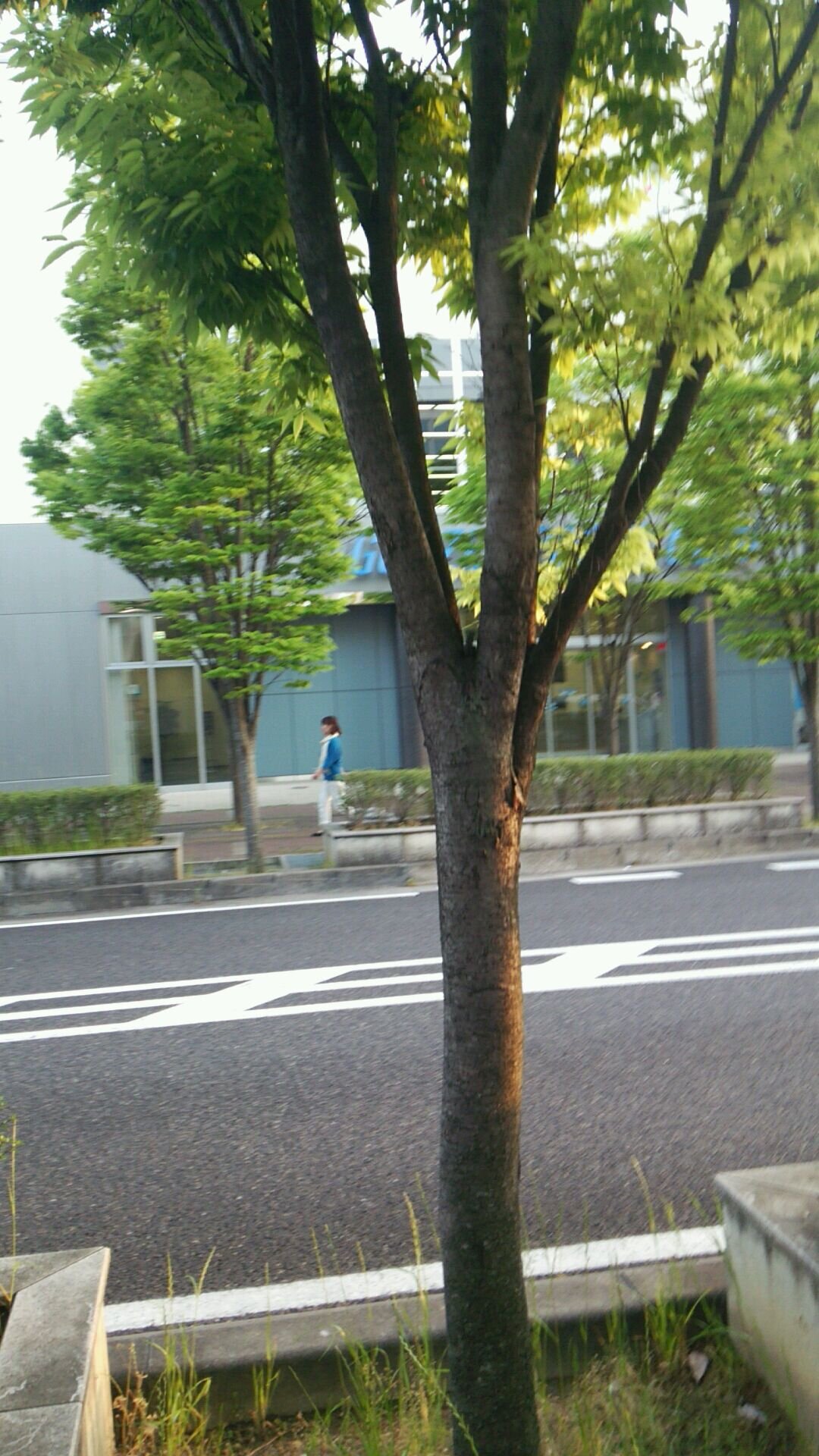 suinsuin555's profile picture. コンサル系の社畜。投資が趣味。