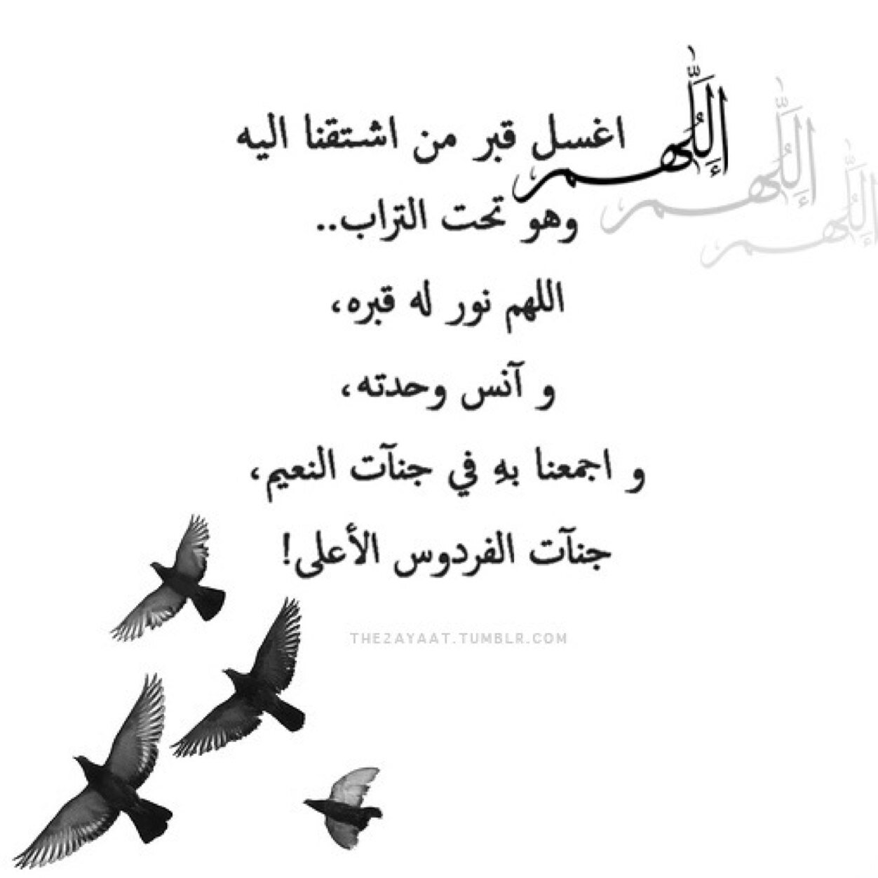 رحلت ومازالت في قلوبنآ ذكراها. رحمكَ الله يامُعلمتنآ *جعلك الله في الفردوس الأعلى .