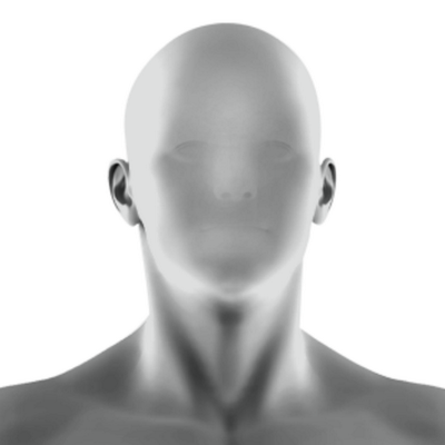[Image Coming Soon]