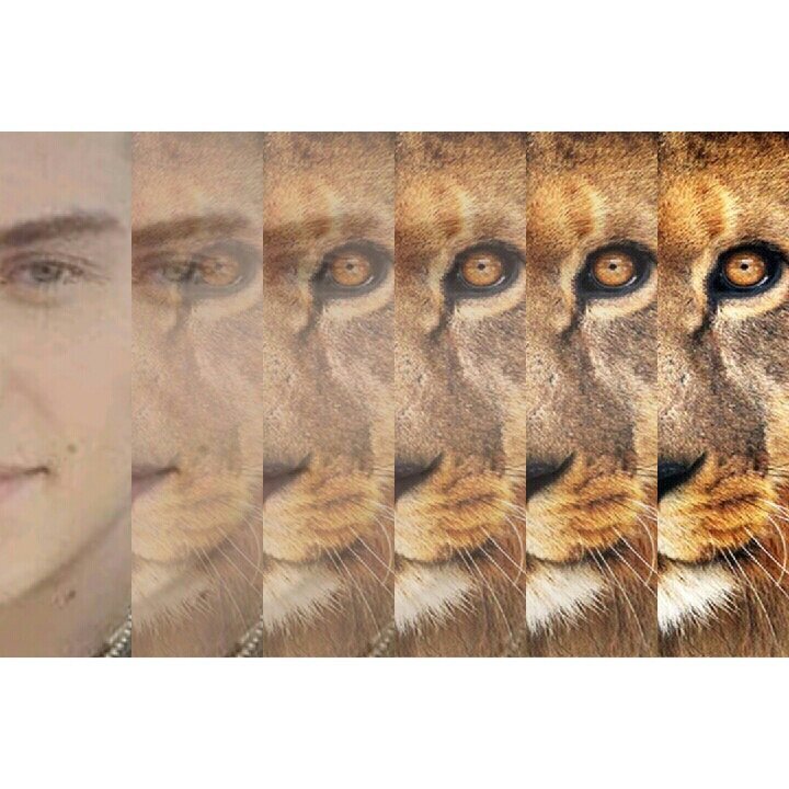 BackUp of my other account RPG ( @____Hunter___ )► Here my REAL Account I'm french and i love @nolanfunk ♥