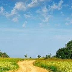 foreverpurple's profile picture. 