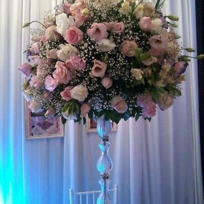 silvanadluna's profile picture. 