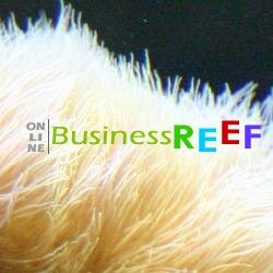 A Community for Online Business Entrepreneurs to help Build : Share : Connect