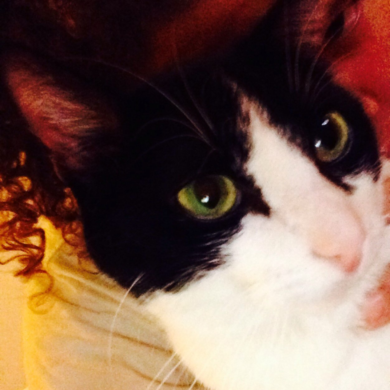 momajen24's profile picture. 