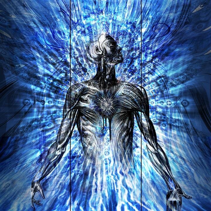 QinD78's profile picture. 