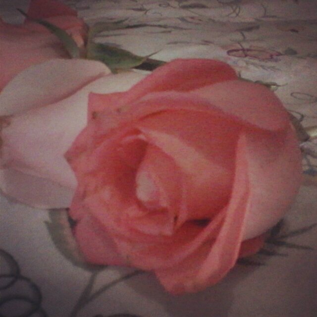 Dios♡∞! Mis Metas, Mis Propositos♡ Abuela♥#QueenOfMyKing♡ #Caballos♡∞ #MarcAnthony♥∞ #Cosculluela∞♥