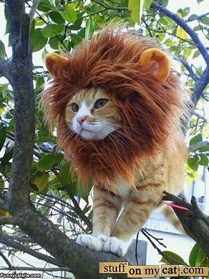 groovy_blue1's profile picture. 