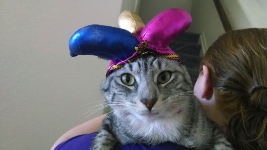 VickiEfurd's profile picture. 