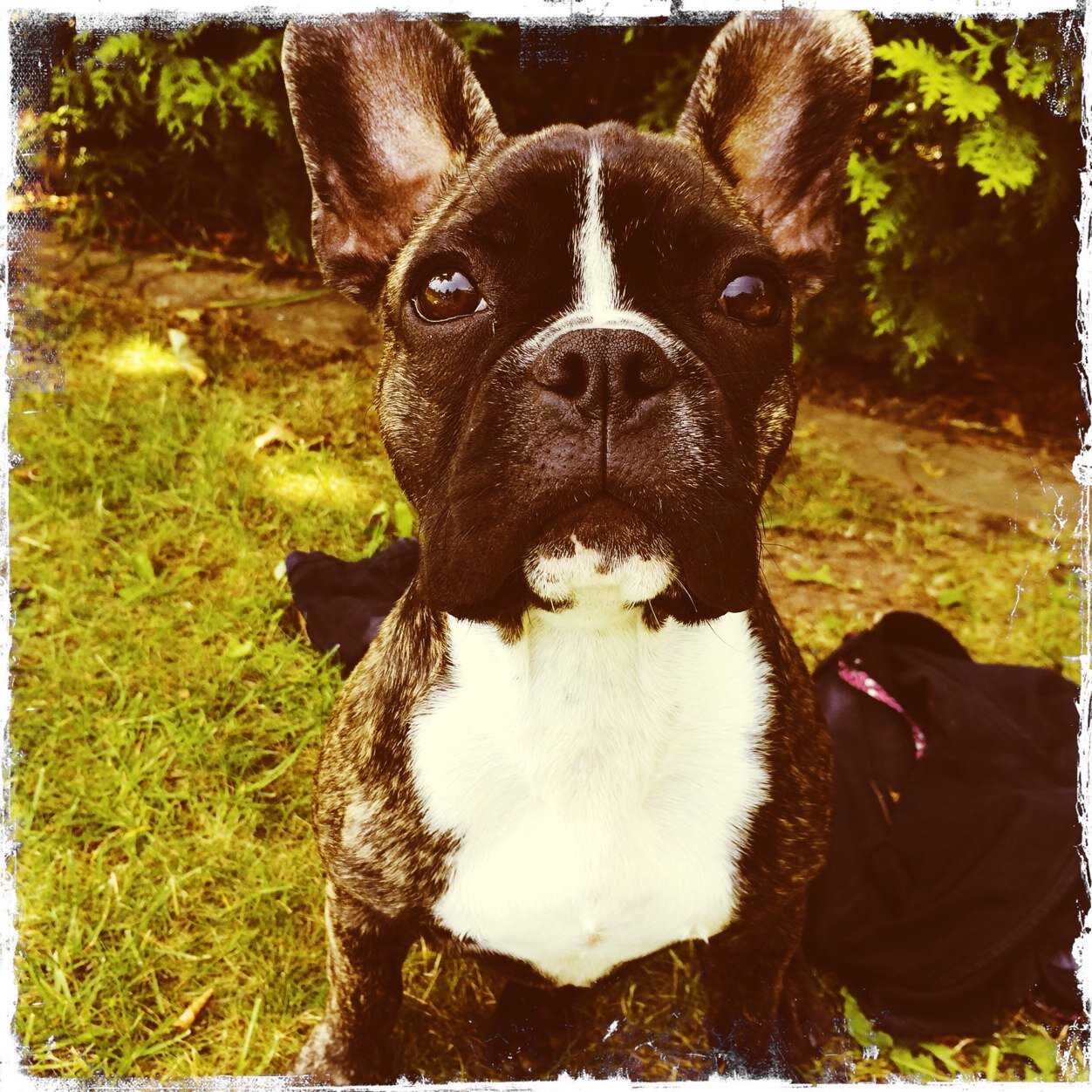 EmmabullyEoklan's profile picture. 