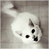 Готовлюсь к экзаменам. Хочу готовиться. Хочу начать готовиться. Готовлюсь готовиться, в общем.