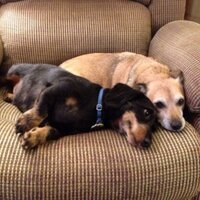 Cathy West (@cwwkeys) 's Twitter Profile