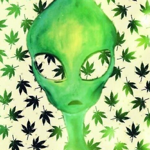 Always High and Vibin' Shout out to all of #TeamSESH #PoshGang #MetroZu #RaiderClan #PTCSWAGE AND #Underground #Rap