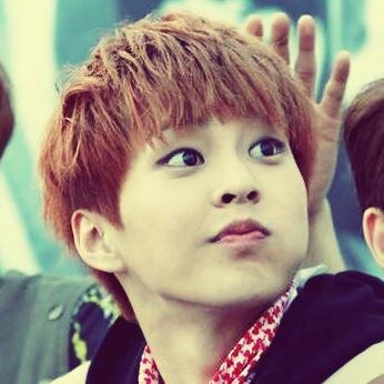 FOLLOW @fluffytaemin for more free follows @fluffytaemin @fluffytaemin @fluffytaemin @fluffytaemin
