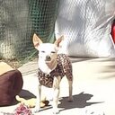 Sandy A.G. - @sandy_ag22 - Twitter