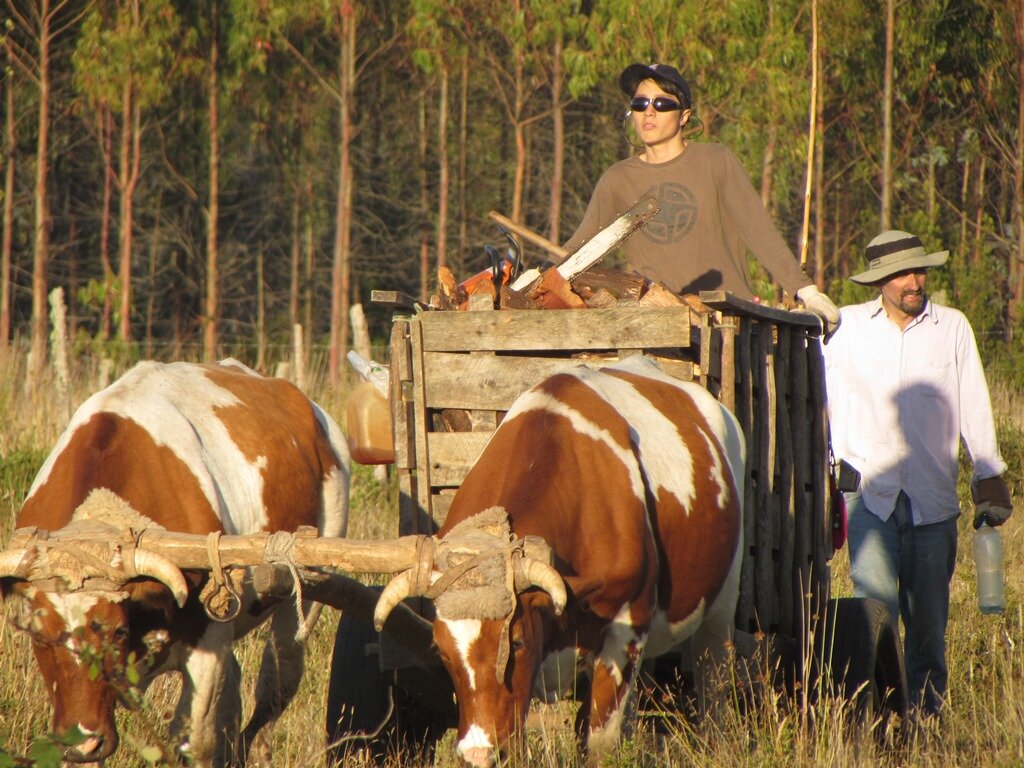 Desde constructor de sueños imposibles hasta agricultor de lo que algún día cosecharan mis hijos.