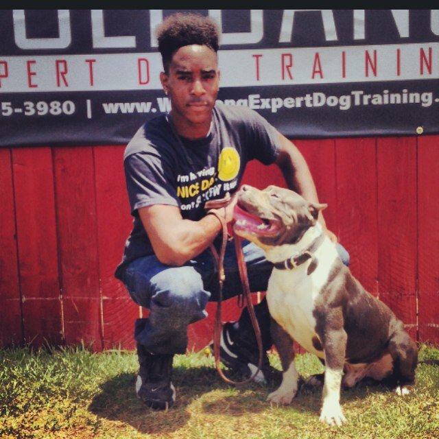 Live Life One Day At A Time #UA16 #HighTopFaded #DogLover #K9studies