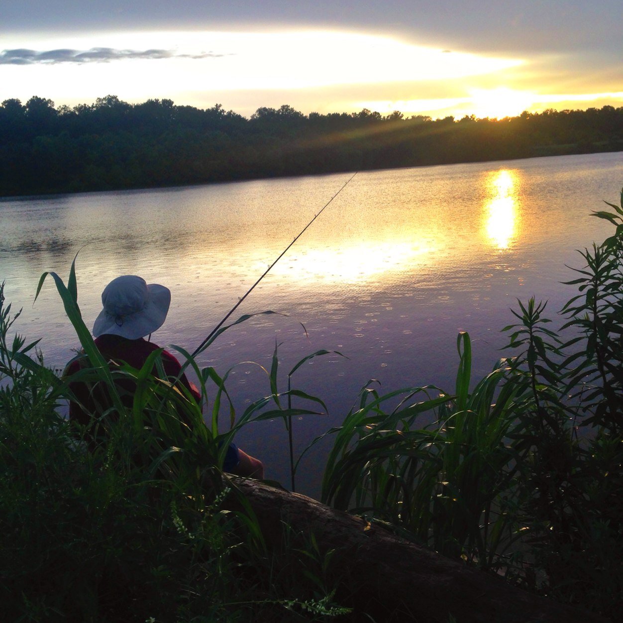 pegg_ryan's profile picture. 