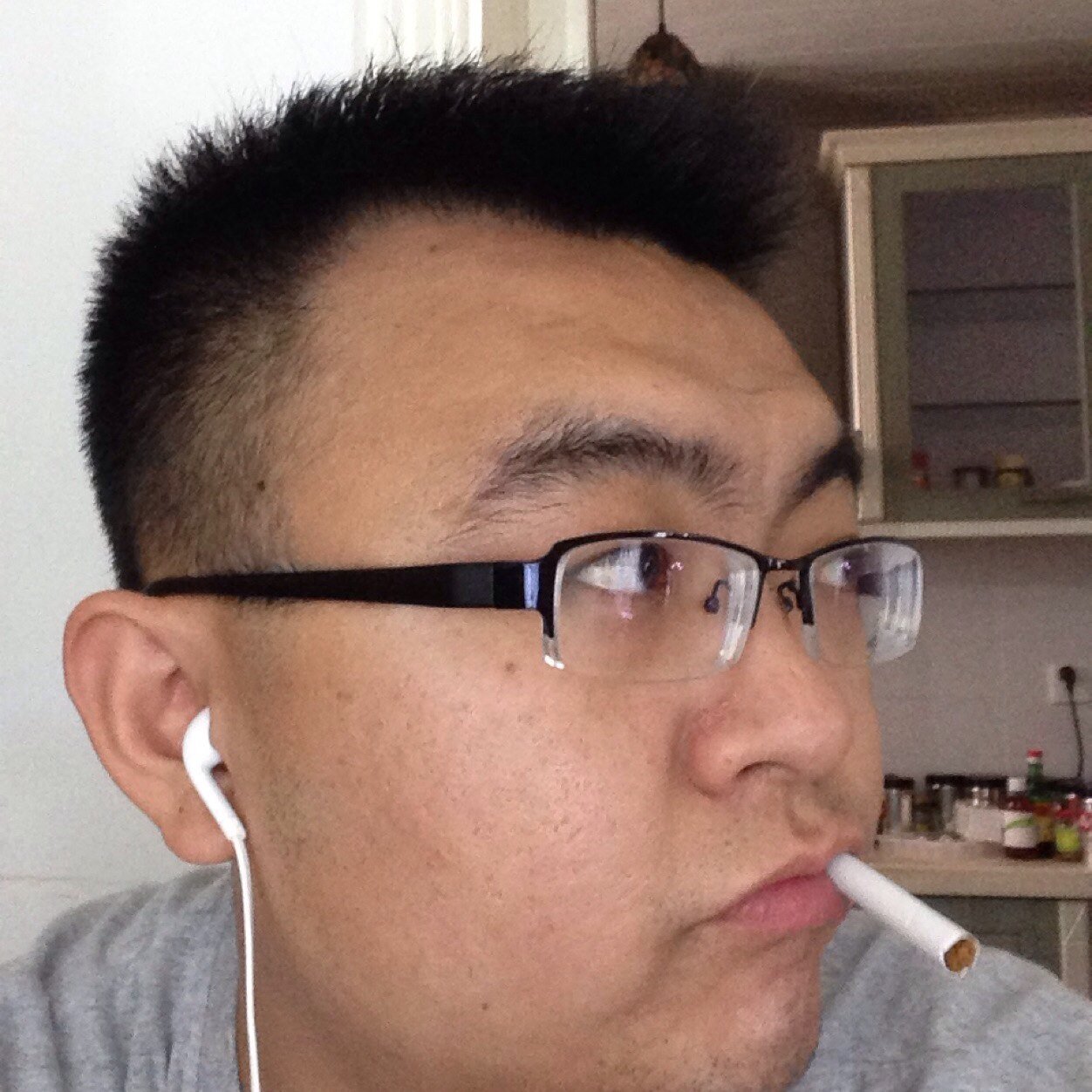 rollingcrazyfox's profile picture. so cool so good