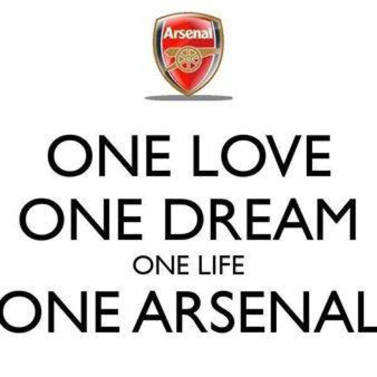 follow me and i follow back :)