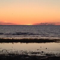 Northern Michigan (@upnorthinmich) 's Twitter Profile