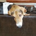 Ben Braunstein - @braunstein_ben - Twitter