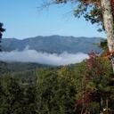 Donnie Bishop - @dbishop0411 - Twitter