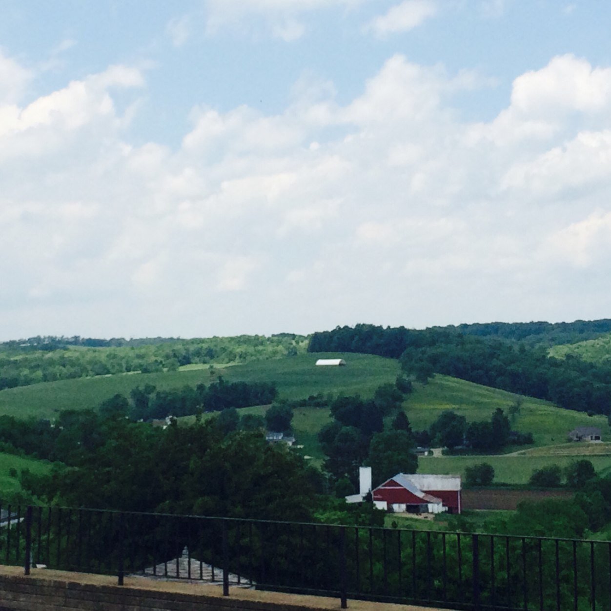 farmlocalfarms's profile picture. I am starting this project to allow people the experience of where their food comes from!   Helping locals and travelers find and support the farms in the area.