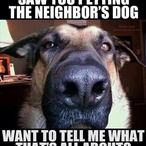 billreams1's profile picture. 