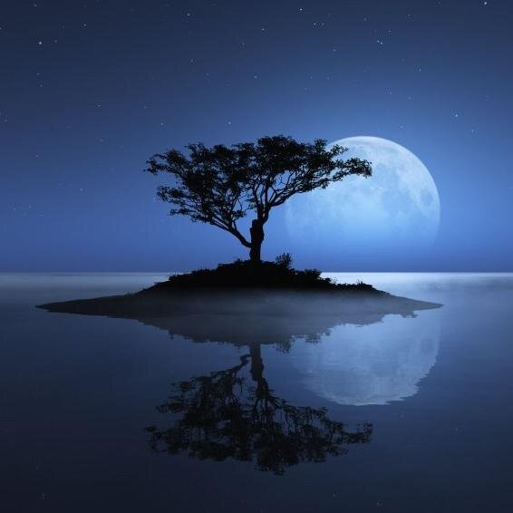 DineshZT20's profile picture. 