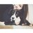 ashleyyham's profile image