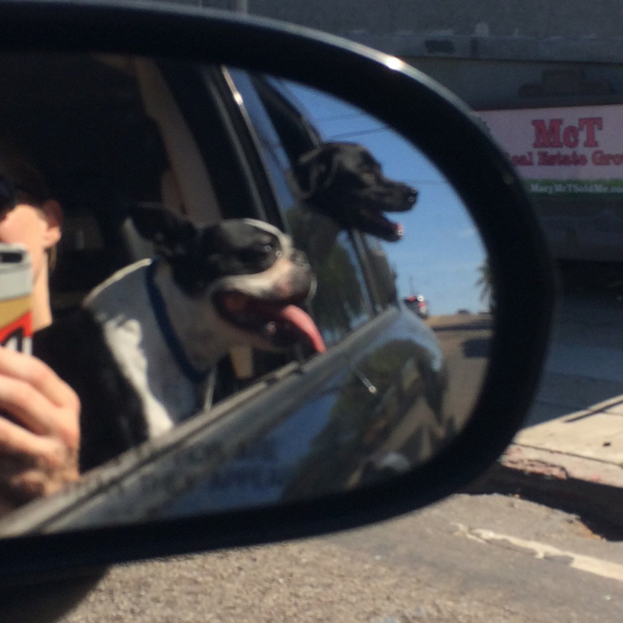 sh1tihaveatwitt's profile picture. 