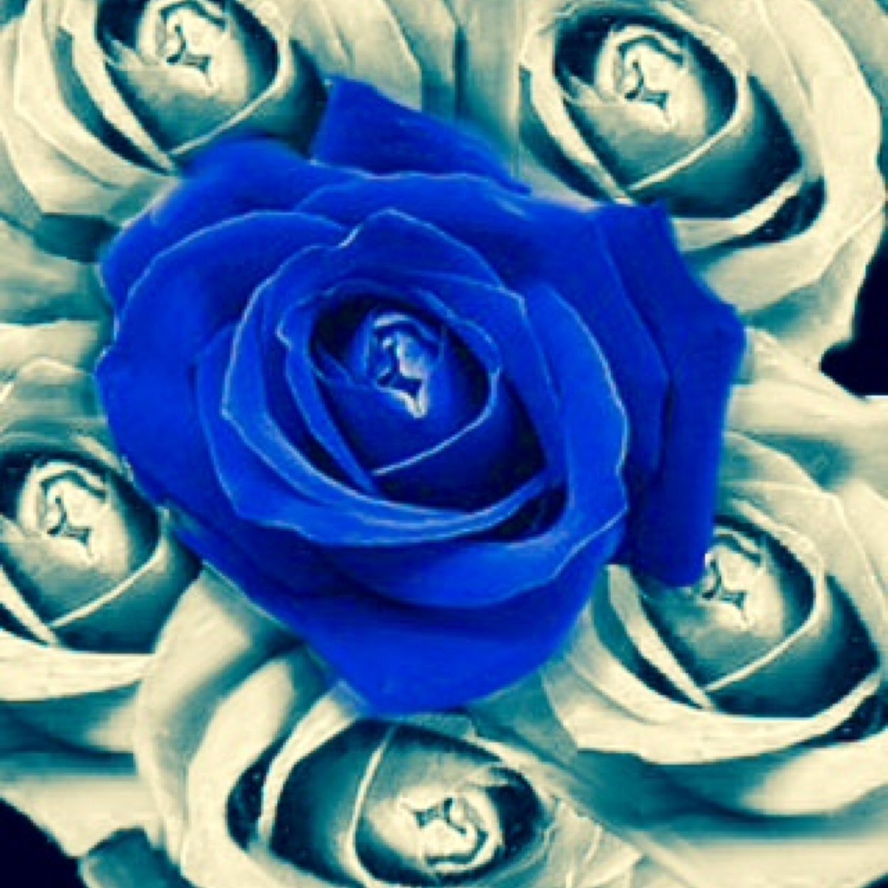 ElMunoz46's profile picture. 