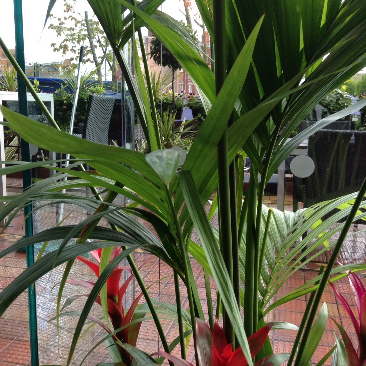 rkadiyo's profile picture. 