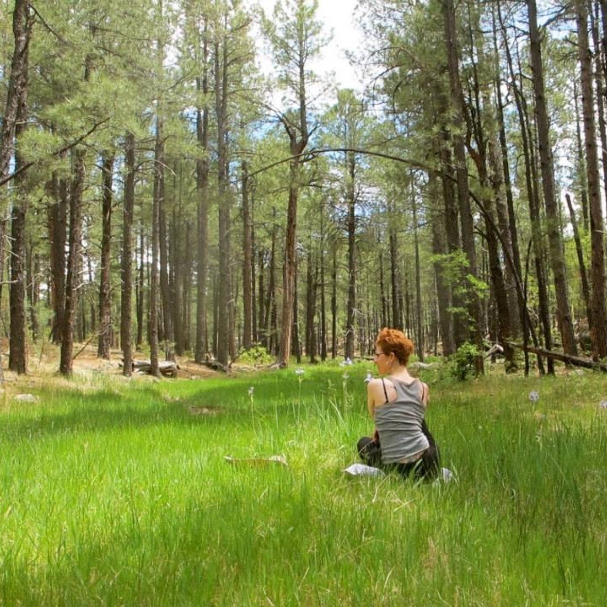 Where Wisdom Roots, living the sacred and wholesome Through Yoga & Somatic Therapeutics, Transpersonal & Eco Psychology,Ceremony & Mindful Living