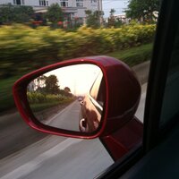 阿笨 (@liangyongzhang) 's Twitter Profile