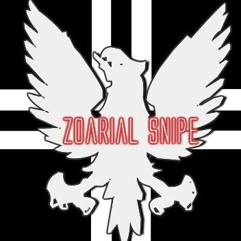 ZoarialSnipe's profile picture. College student, I record the shenanigans of my video games and post them for you to see!