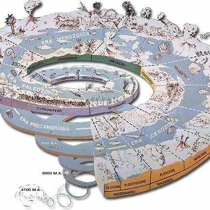 calandriello01's profile picture. 