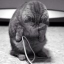 Max benson - @max_ibaxer7 - Twitter