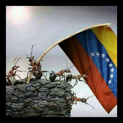 OlgaFe's profile picture. 