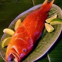 Fish Farm
