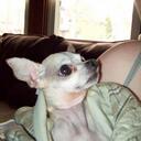 tammy doan - @myboydiesel - Twitter