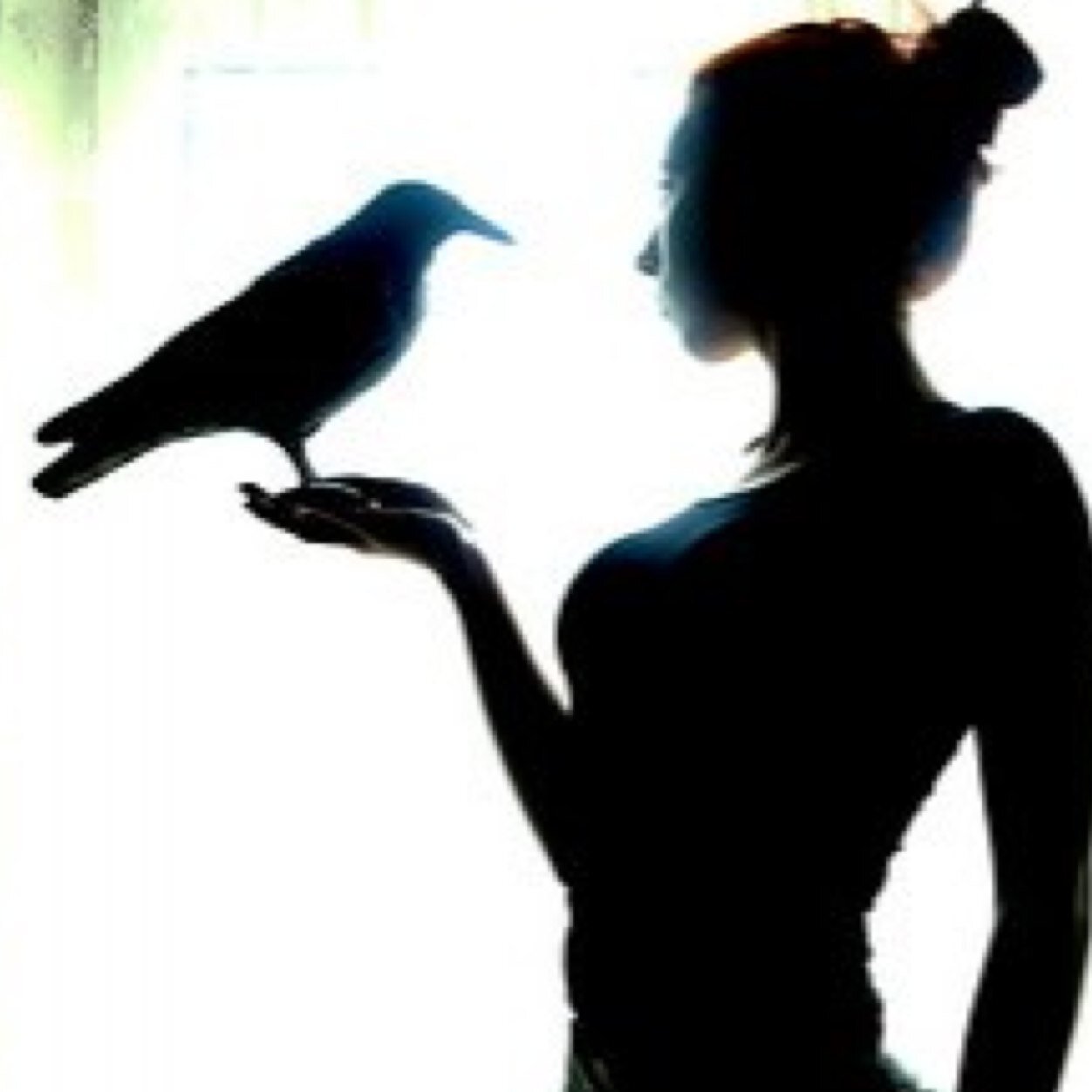 HopefulFalconry's profile picture. We can only reach a better future through hard work and dedication. [FF! @SHSLOrnithology]