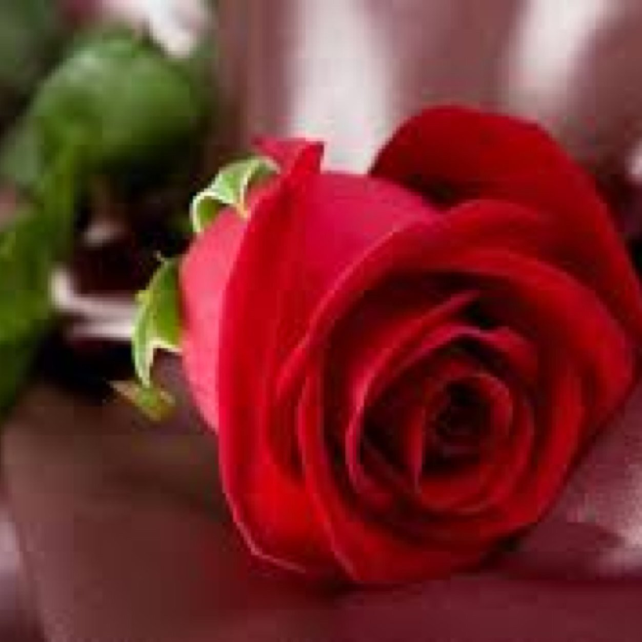 ‏‏: ﺳﻮﻑ ﻳﺄﺗﻲ ﻳﻮﻡ ﻻ‌ ﺃﻛﻮﻥ ﻣﻌﻜﻢ ﻭﺳﻮﻑ ﺗﺪﺧﻠﻮﻥ ﻟﺘﻘﺮﺃﻭﺍ ﻣﺎ ﻛﺘﺒﺖ ﻓﺈﻥ ﻭﺟﺪﺗﻢ ﻣﺎ ﻳﺆﺟﺮﻧﻲ ﺃﻧﺸﺮﻭﻩ ﻭﺇﻥ ﻭﺟﺪﺗﻢ ﻣﺎ ﻳﺆﺛﻤﻨﻲ ﺃﺗﺮﻛﻮﻩ.