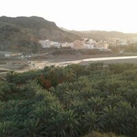 هاشتاق الكامل وستاره (@ahashtaaq) 's Twitter Profile