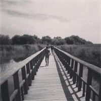 Llanos Cuenca (@llcuenca) 's Twitter Profile Photo