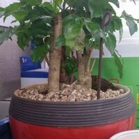 문광호 (@ans3131) 's Twitter Profile