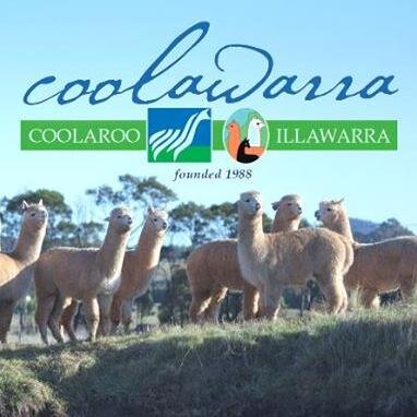 Coolawarra Alpacas has established an international reputation for its contribution to the Alpaca Industry in both Australia and throughout the world