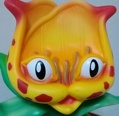 miccccca11's profile picture. 